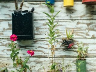 Wall of plants grown in reusable containers,